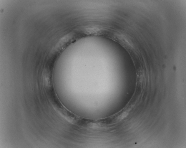 X0000074310408200609081947