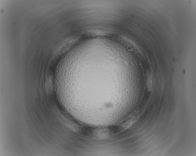 X0000074310410200609081947