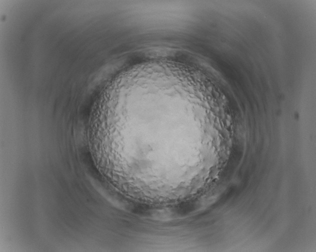 X0000074310411200609081947