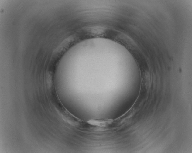 X0000074310412200609081947