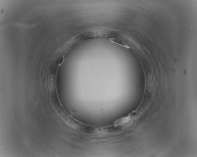 X0000074310413200609081947