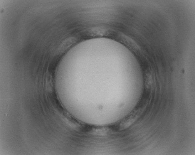 X0000074310414200609081947