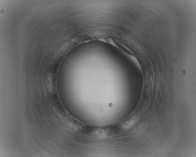 X0000074310416200609081947