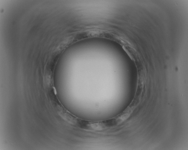 X0000074310417200609081947