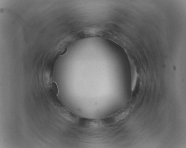 X0000074310420200609081947