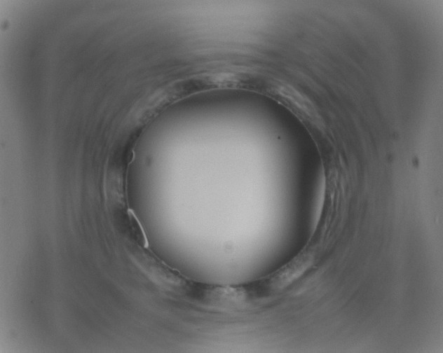 X0000074310421200609081947