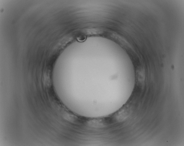 X0000074310422200609081947