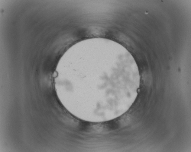 X0000074310423200609081947