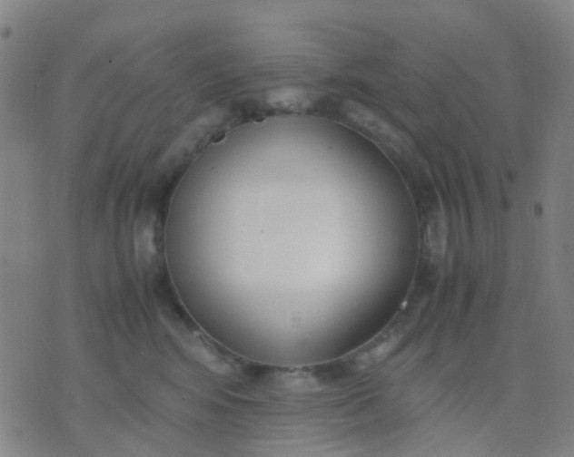 X0000074310424200609081947