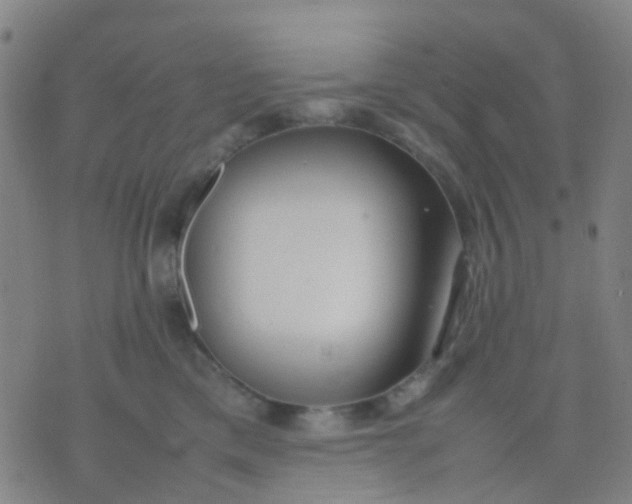 X0000074310425200609081947