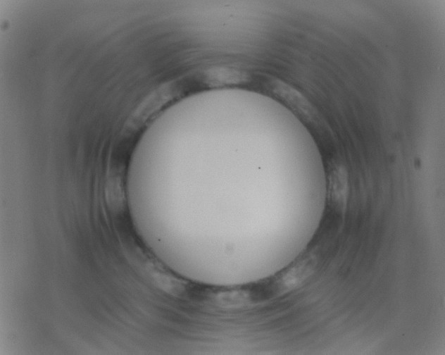 X0000074310426200609081947