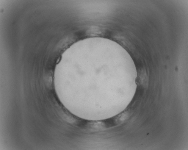 X0000074310427200609081947