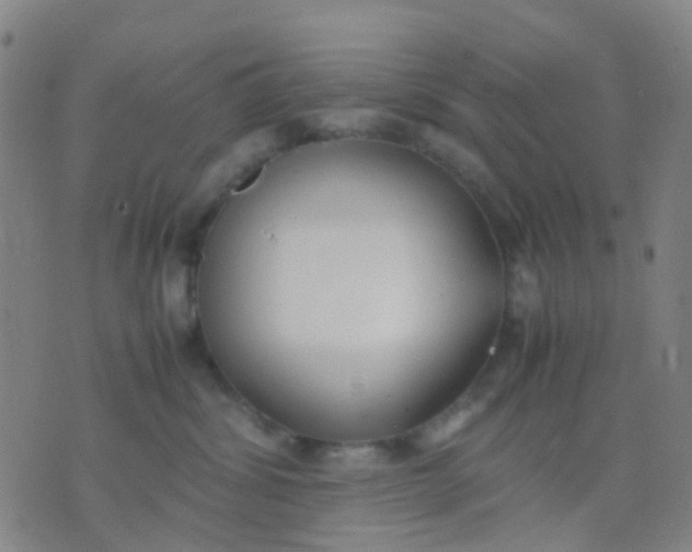 X0000074310428200609081947