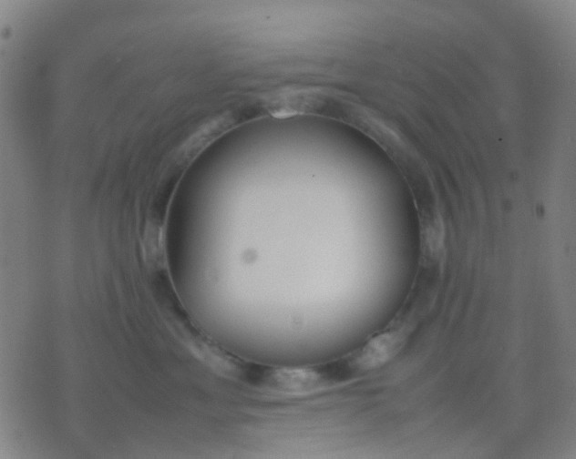 X0000074310429200609081947