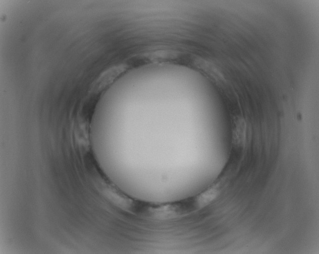 X0000074310430200609081947