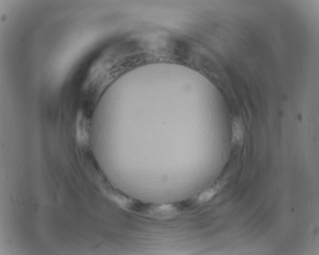 X0000074310431200609081947