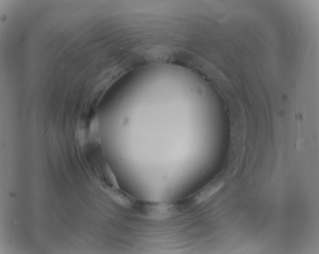 X0000074310432200609081947