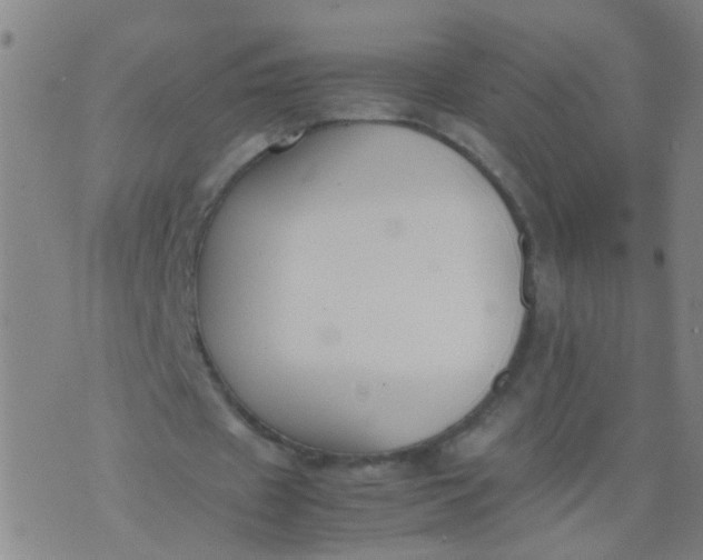 X0000074310433200609081946