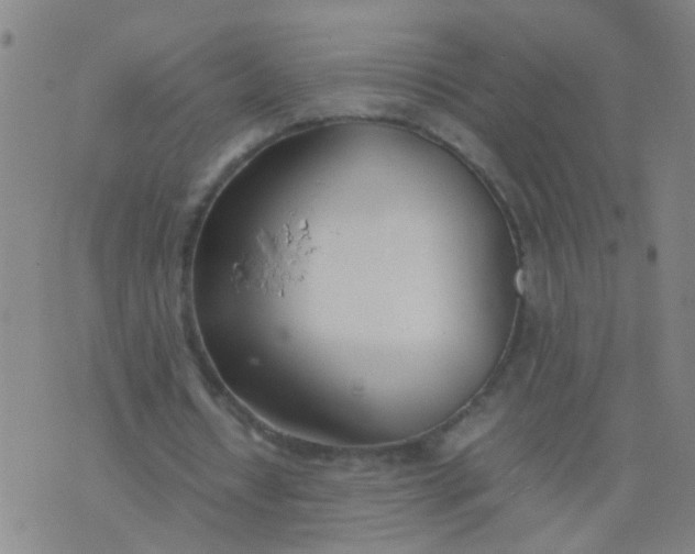 X0000074310434200609081946