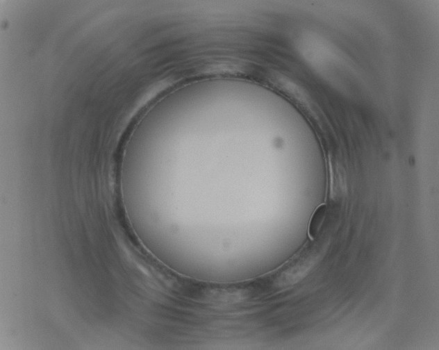 X0000074310435200609081946