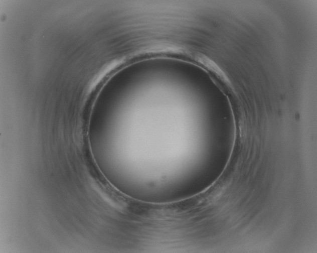 X0000074310436200609081946