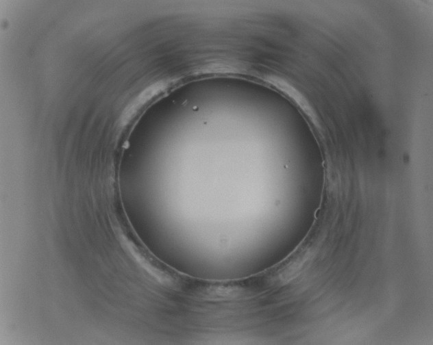 X0000074310437200609081946