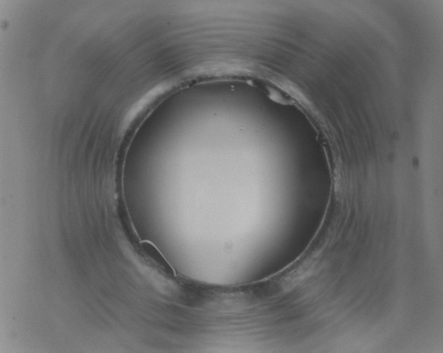 X0000074310438200609081946