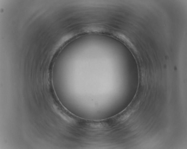 X0000074310439200609081946