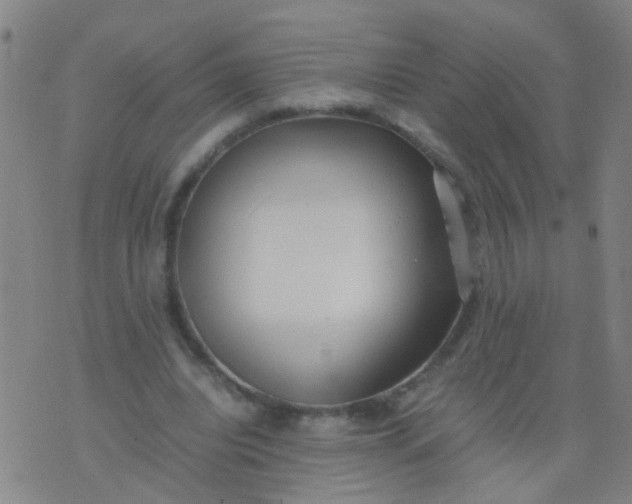 X0000074310440200609081946