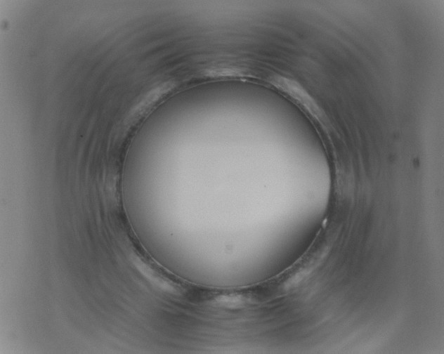 X0000074310441200609081946