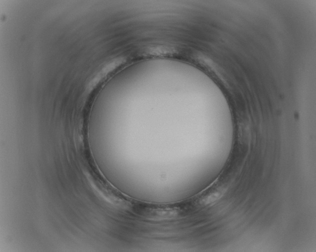 X0000074310443200609081946