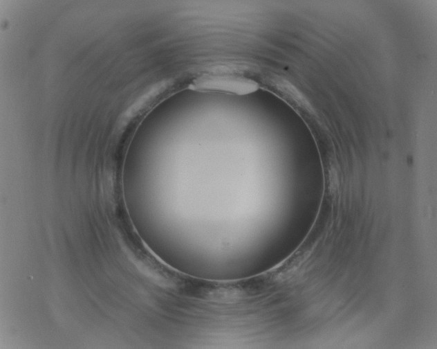 X0000074310444200609081946