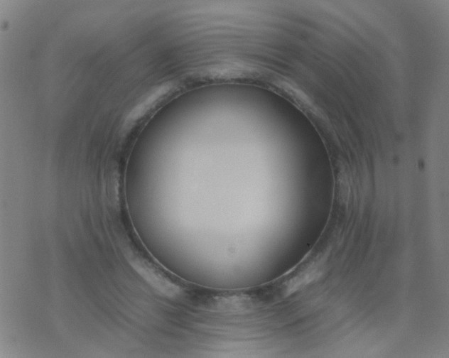 X0000074310446200609081946