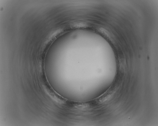 X0000074310447200609081946