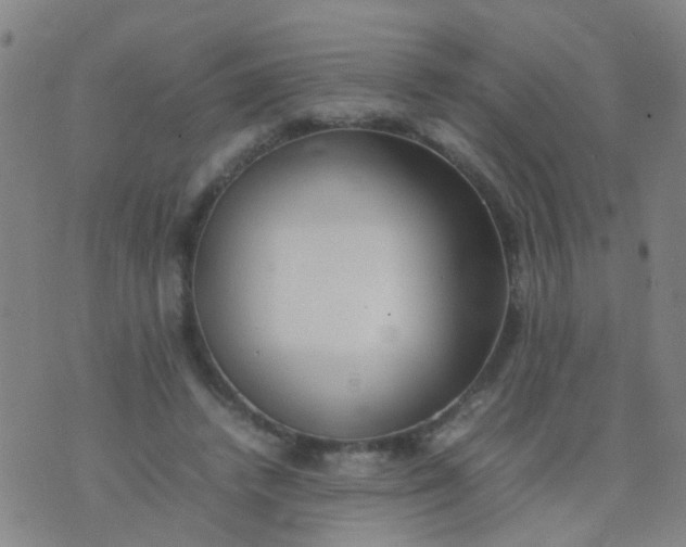 X0000074310448200609081946