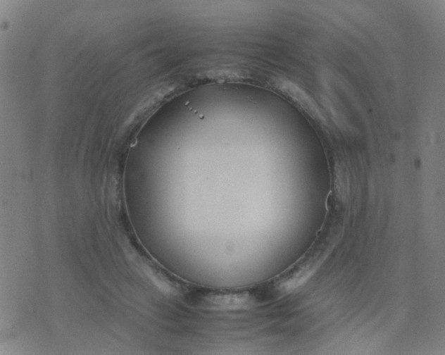 X0000074310449200609081946