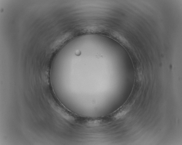 X0000074310450200609081946