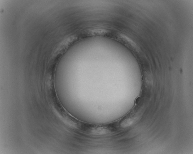 X0000074310451200609081946