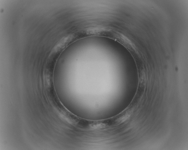 X0000074310452200609081946