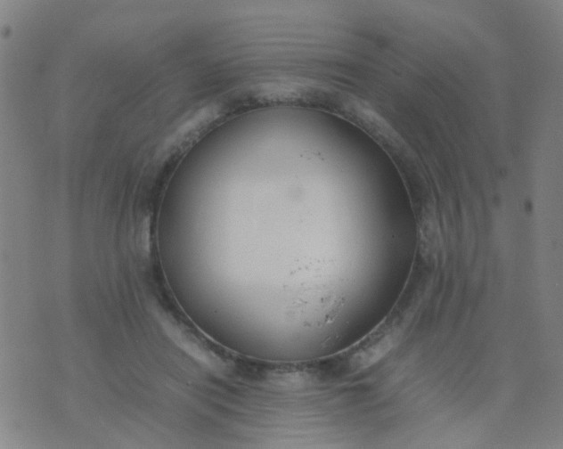 X0000074310454200609081946