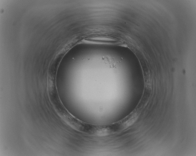 X0000074310456200609081946