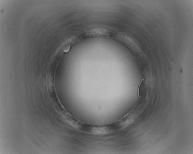 X0000074310457200609081946