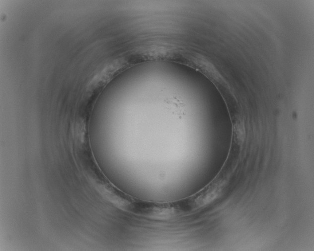 X0000074310458200609081946