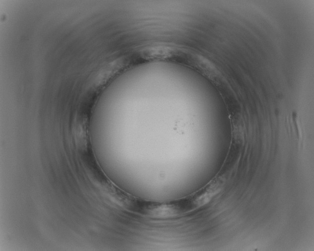 X0000074310460200609081946