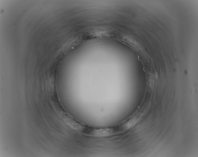 X0000074310461200609081946