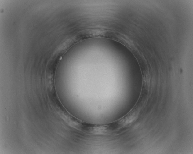 X0000074310462200609081946