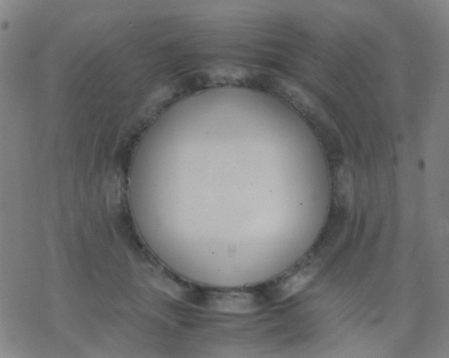 X0000074310463200609081946