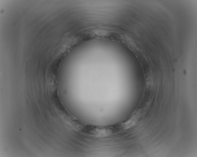 X0000074310464200609081946