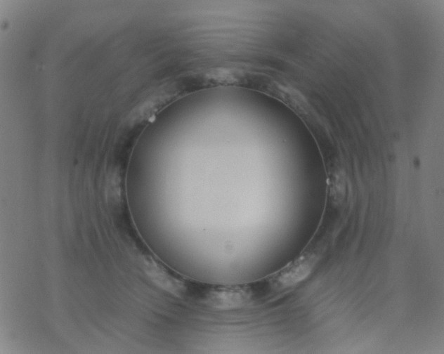 X0000074310466200609081946