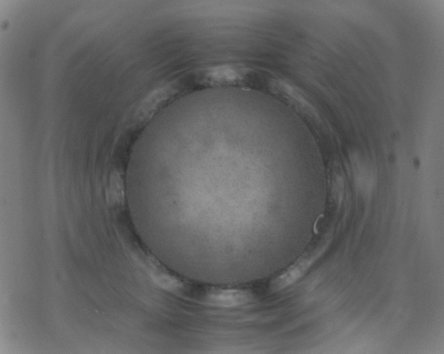 X0000074310467200609081946